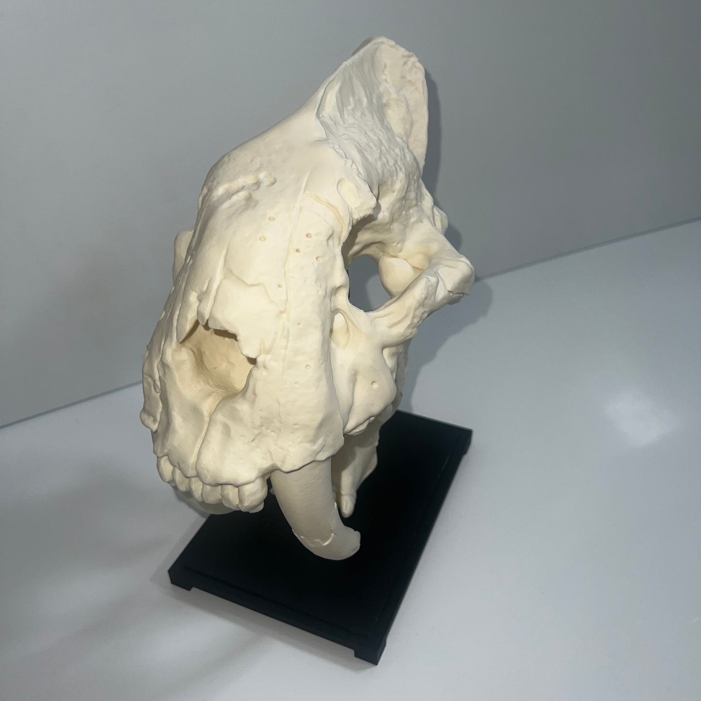 Gato dientes de sable (Smilodon) - Impreso en 3D