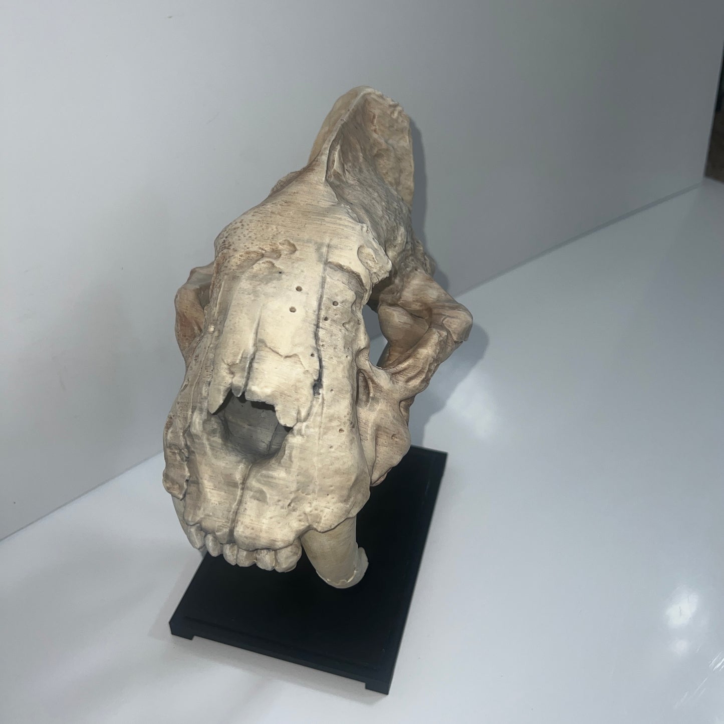 Gato dientes de sable (Smilodon) - Impreso en 3D