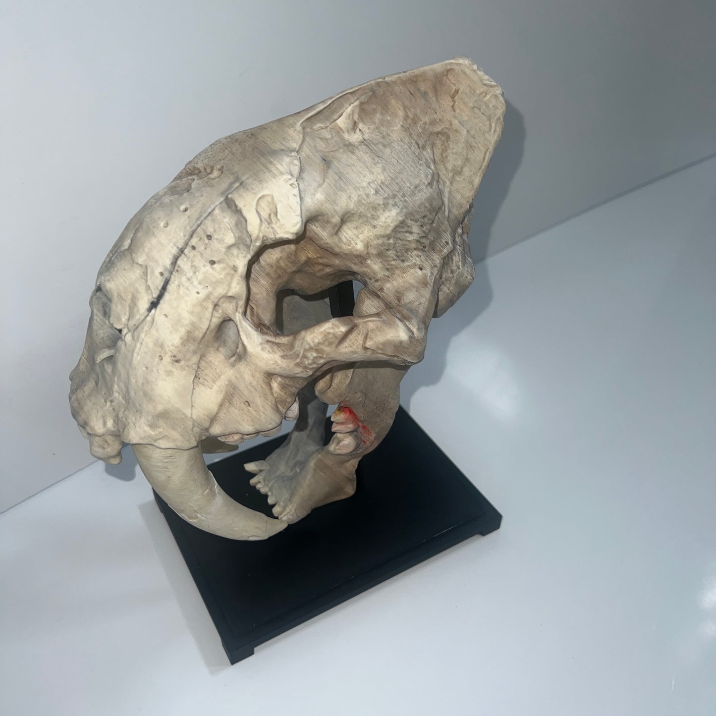 Saber tooth Cat (Smilodon) - 3D Printed