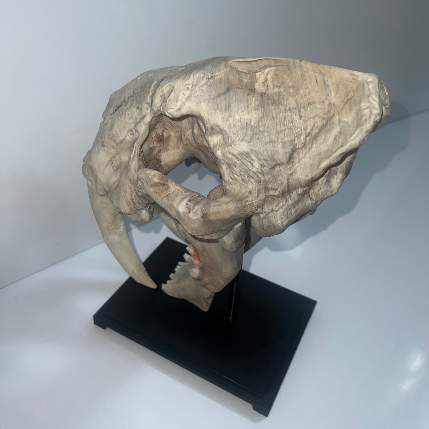 Sabertooth Cat (Smilodon) - 3D Printed