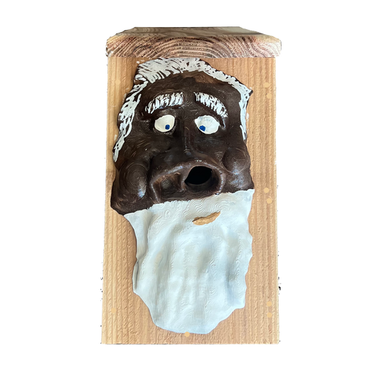 Tree Spirit Baby Bird Box With Wood Roof and Nose Hole