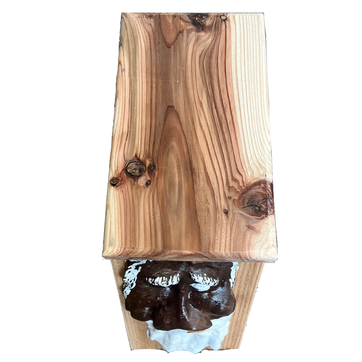 Tree Spirit Baby Bird Box With Wood Roof and Nose Hole